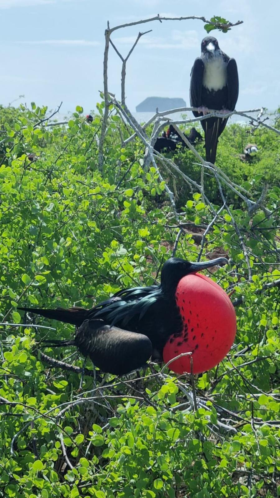 Casa Eden * Puerto Ayora (Galapagos Islands)